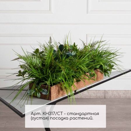 КН317/СТ(Пр)(F) Композиция искусственная папоротник большой с травой в кокосовом боксе 75х20х10см