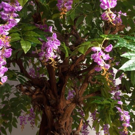 280/ОС/АСС/424-1(Пр)(F) Глициния(вистерия) искусственная h280см (латекс), сиреневая