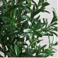 120/К/4655(Пр)(F) Ива искусственная куст h120см