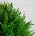 Т060/201(з)(F) Туя-шар искусственный Элеганс h70см, d60см в кашпо