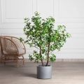 120/РН/ОК/534(з)(F) Шеффлера искусственная Компакта h120см d60см в кашпо, латекс