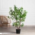 120/РН/ОК/534(з)(F) Шеффлера искусственная Компакта h120см d60см в кашпо, латекс
