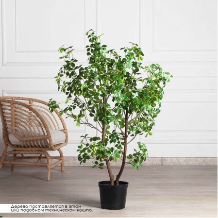 120/РН/ОК/534(з)(F) Шеффлера искусственная Компакта h120см d60см в кашпо, латекс