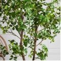 120/РН/ОК/534(з)(F) Шеффлера искусственная Компакта h120см d60см в кашпо, латекс