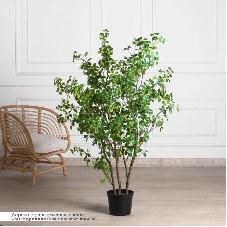 150/РН/ОК/534-1(з)(F) Шеффлера искусственная Компакта h150см d80см в кашпо, латекс