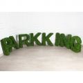 Логотип PARKKING 582,7хh75см(F)