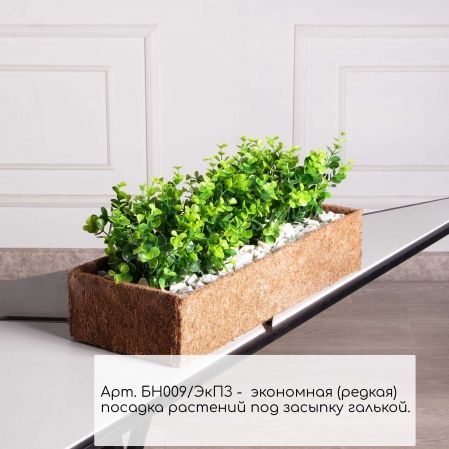 БН009ЭкПЗ(Пр)(F) Самшит искусственный Эвкалипт в кокосовом боксе 50х20х10см