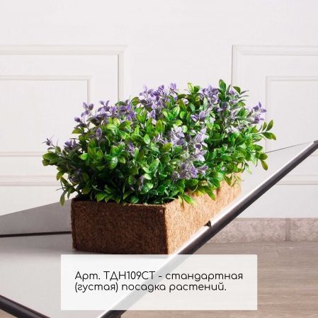 ТДН109СТ(Пр)(F) Композиция искусственная с черничником в кокосовом боксе 50х20х10см ТДН109СТ(Пр)(F) Композиция искусственная с черничником в кокосовом боксе 50х20х10см