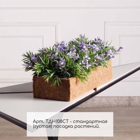 ТДН108СТ(Пр)(F) Композиция искусственная с погонатерумом в кокосовом боксе 50х20х10см