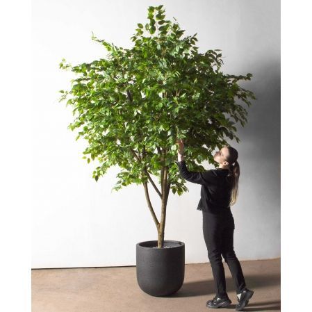 270/РН/34(з)(Пр)(F) Фикус искусственный h270см,d230см, латекс 270/РН/34(з)(Пр)(F) Фикус искусственный h270см,d230см, латекс