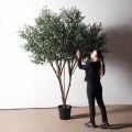 260/О/465(з)(Пр)(F) Оливковое дерево искусственное c плодами h260см