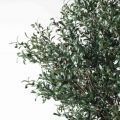 260/О/465(з)(Пр)(F) Оливковое дерево искусственное c плодами h260см
