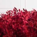ФТМ202(з)(F) Фитомодуль д150см, свес 30-40см
