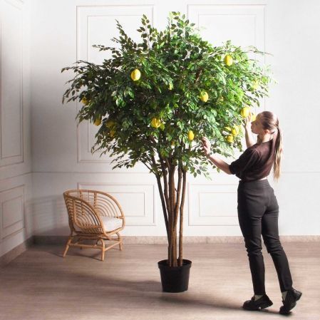 250/РН/20М-1(з)(F) Лимон искусственный h250см d200см, латекс 250/РН/20М-1(з)(F) Лимон искусственный h250см d200см, латекс