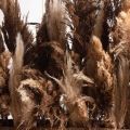 К497-3(з)(F) Композиция искусственная с сухоцветами h70см в кокосовом боксе 134х19хh15см