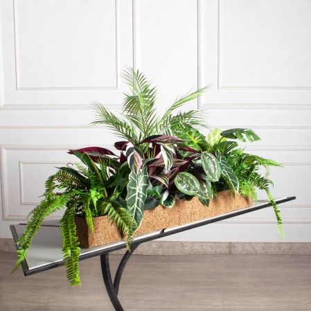 К473/1-3/3(з)(F) Композиция искусственная с Драценой и алоказией в кокосовом боксе 98х15х10см