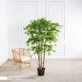 160/РН/84-1(з)(F) Шеффлера искусственная h160см d100см, латекс