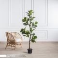 150/499(з) Фикус(F) Лирата искусственный h150см