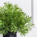 045/К/5122(Пр)(F) Погонатерум искусственный куст h45см натурально-зеленый