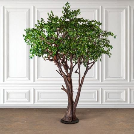 410Разб/РБР/ДА/АСС/84(з)(УУ)(F) Шеффлера искусственная разборная h410, латекс 410Разб/РБР/ДА/АСС/84(з)(УУ)(F) Шеффлера искусственная разборная h410, латекс