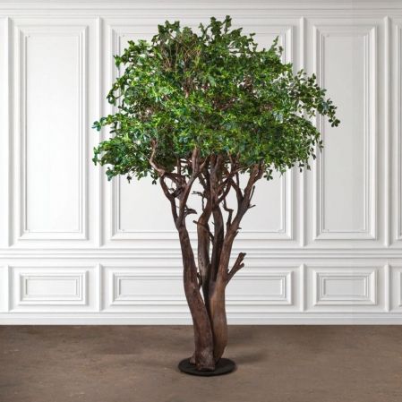 410Разб/РБР/ДА/АСС/84(з)(УУ)(F) Шеффлера искусственная разборная h410, латекс 410Разб/РБР/ДА/АСС/84(з)(УУ)(F) Шеффлера искусственная разборная h410, латекс