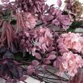 Л173(Пр)(F) Лиана искусственная пепельно-пурпурная L100см