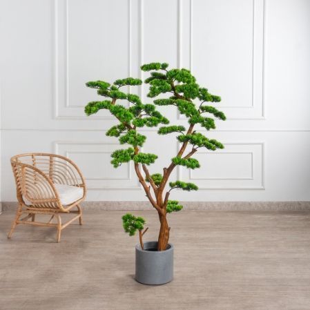 БС160/ДА/520(з)(Пр)(F) Бонсай искусственный Сосна h160см БС160/ДА/520(з)(Пр)(F) Бонсай искусственный Сосна h160см