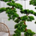 БС150/ОС/30-11(з)(F) Бонсай искусственный Сосна h150см d 100-150см на основании