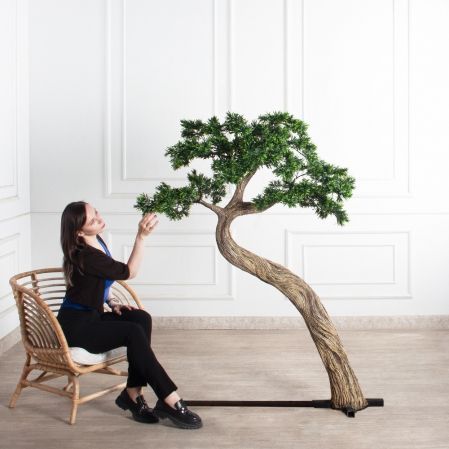 170МЕТ/АСС/241(з)(F) Подокарпус интерьерный h170 d120см 170МЕТ/АСС/241(з)(F) Подокарпус интерьерный h170 d120см