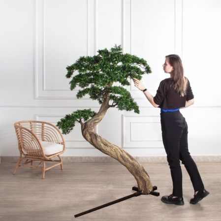 180МЕТ/АСС/241(з)(F) Подокарпус интерьерный h180 d110см 180МЕТ/АСС/241(з)(F) Подокарпус интерьерный h180 d110см