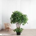 180/РН/84(з)(Пр)(F) Шеффлера искусственная h180см d160см с подкустником