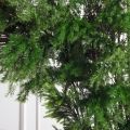 ДЛ182(Пр)(Fix)(F) Декор входной группы хвойный h290см на прутьях,пристенный