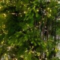 ДЛ182/СВ03т(Пр)(Fix)(F)Декор вход.группы хвойный h290см н/прутьях, прист.с гирляндой "Роса"