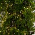 ДЛ182/СВ03т(Пр)(Fix)(F)Декор вход.группы хвойный h290см н/прутьях, прист.с гирляндой "Роса"