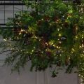 ДЛ183/СВ03т(Пр)(Fix)(F)Декор вход.груп. хвойный с ягодами h290см н/прутьях, прист.с гирляндой Роса