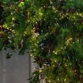 ДЛ183/СВ03т(Пр)(Fix)(F)Декор вход.груп. хвойный с ягодами h290см н/прутьях, прист.с гирляндой Роса