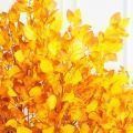 180/РН/645(Пр)(F) Бук искусственный осенний h180см