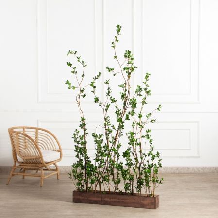 К555(Пр)(F) Композиция из молодых побегов пристенная на основании