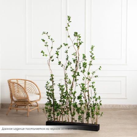 К555(Пр)(F) Композиция из молодых побегов пристенная на основании