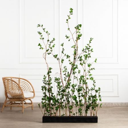 К555(Пр)(F) Композиция из молодых побегов пристенная на основании