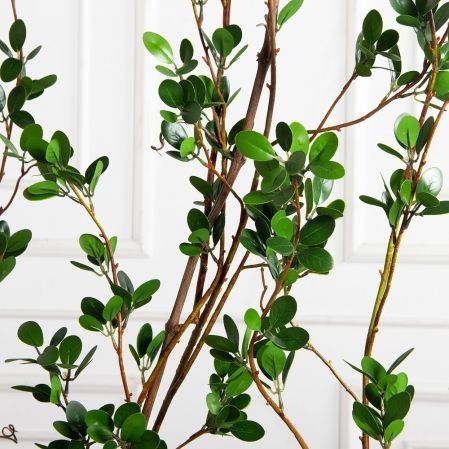 К555(Пр)(F) Композиция из молодых побегов пристенная на основании