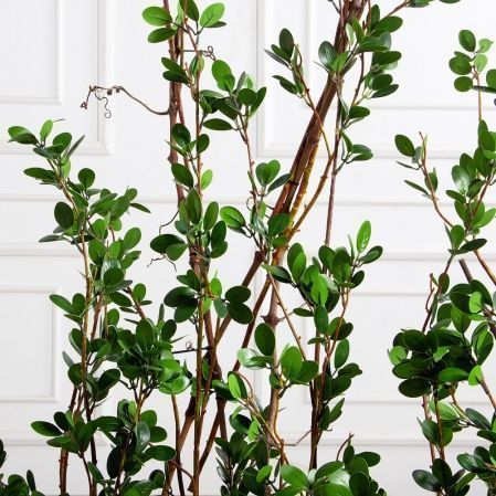 К555(Пр)(F) Композиция из молодых побегов пристенная на основании