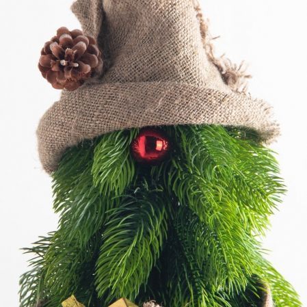 ККД15/289(Пр)(F) Кокедама искусственная Ёлочка "Гномик" d15см