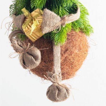 ККД15/289(Пр)(F) Кокедама искусственная Ёлочка "Гномик" d15см