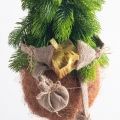 ККД15/289(Пр)(F) Кокедама искусственная Ёлочка "Гномик" d15см ККД15/289(Пр)(F) Кокедама искусственная Ёлочка "Гномик" d15см
