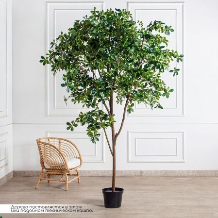 250/РН/АСС/84-1(з)(Пр)(F) Шеффлера искусственная h250см (латекс) 250/РН/АСС/84-1(з)(Пр)(F) Шеффлера искусственная h250см (латекс)