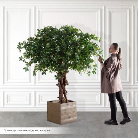 811/04-5/2(з)(F) Ящик деревянный 45х45х45см (коричневый) (СЗК)