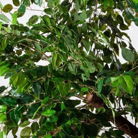 250/ТР/ЯЗ/344(з/УУ)(F) Дерево интерьерное сказочное h250 d220см