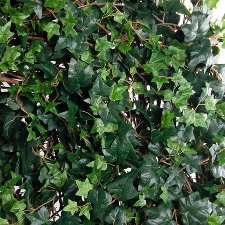 АРК07-1(з)(УУ)(Fix)(F) Арка с искусственной хедерой h280см, L340см, разборная АРК07-1(з)(УУ)(Fix)(F) Арка с искусственной хедерой h280см, L340см, разборная