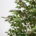 230/РН/12М(з)(F) Береза искусственная h230см, d120см